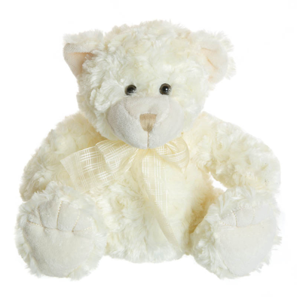 Teddy 8